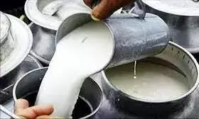 कम दूध संग्रहण वाले दुग्ध संस्थानों को बंद करने की चेतावनी