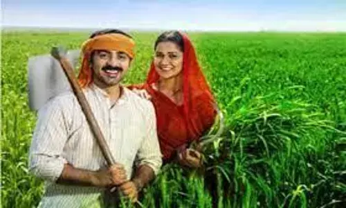 तहसीलदार की पंचसूत्री से अचलपुर में ई-फसल मुआयने में बेहतर नतीजे