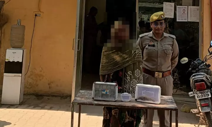 नकली सोने की वस्तु से लोगों को ठगने वाली शातिर महिला गिरफ्तार, 5.50 लाख बरामद नकली सोने की वस्तु से लोगों को ठगने वाली शातिर महिला गिरफ्तार, 5.50 लाख बरामद