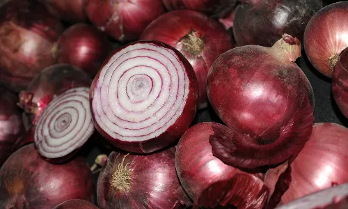 सरकार ने प्याज पर 800 डॉलर प्रति मीट्रिक टन का एमईपी अधिसूचित किया