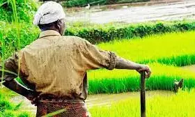 आपदा प्रभावित किसानों को मदद करने नियम शिथिल