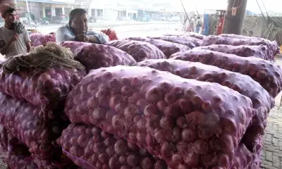 प्याज, टमाटर के दाम ने बिगाड़ा जायका, जेब पर भारी पड़ रहे सब्जियों के दाम