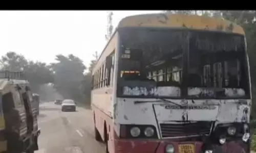 बिजनौर में बस और चारकोल भरे टैंकर की भिड़ंत में 10 लोग घायल बिजनौर में बस और चारकोल भरे टैंकर की भिड़ंत में 10 लोग घायल