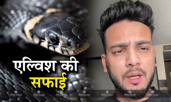 सांप-जहर तस्करी मामले में यूट्यूबर एल्विश यादव का पहला रिएक्शन आया सामने बोले- मेरे ऊपर लगे आरोप बेबुनियाद हैं सांप-जहर तस्करी मामले में यूट्यूबर एल्विश यादव का पहला रिएक्शन आया सामने बोले- मेरे ऊपर लगे आरोप बेबुनियाद हैं