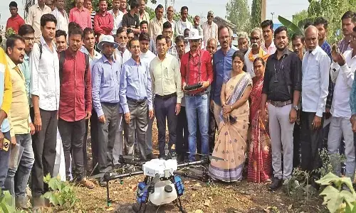 कपास की फसल पर ड्रोन से कीटनाशक छिड़काव