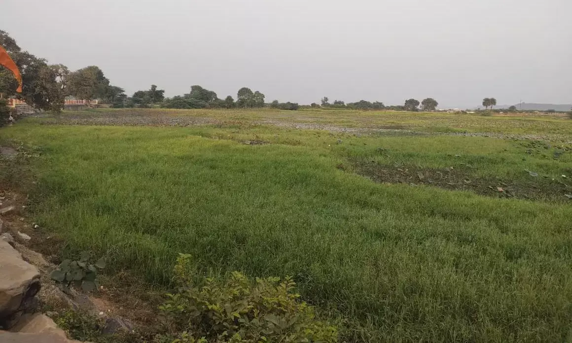 प्राचीन सिंह सागर तालाब का अस्तित्व संकट में, उपेक्षा के चलते बने यह हालात