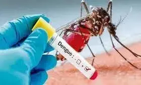 अस्पतालों में 15% मरीज वायरल ग्रस्त अस्पतालों में 15% मरीज वायरल ग्रस्त