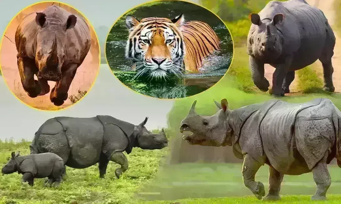 संदिग्ध दिखोगे तो उड़ा दिए जाओगे, शिकारियों पर कसी नकेल
