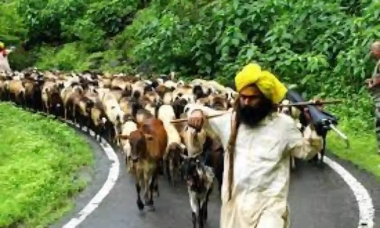 धनगर समाज की योजनाओं को प्रभावी रूप से लागू करने मुख्यमंत्री की अध्यक्षता में समिति गठन को मंजूरी