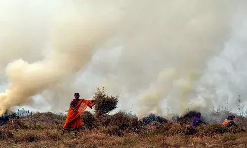 सुप्रीम कोर्ट ने राज्यों और केंद्र को पराली जलाने से रोकने के निर्देश दिए सुप्रीम कोर्ट ने राज्यों और केंद्र को पराली जलाने से रोकने के निर्देश दिए