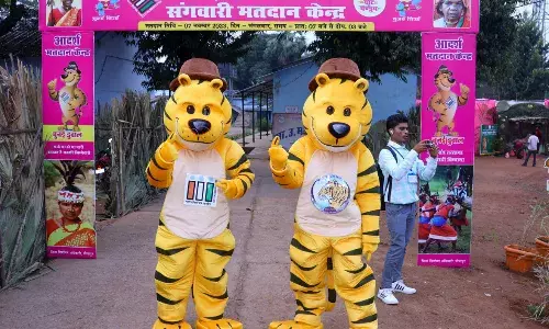 छत्तीसगढ़ में नक्सलियों के उत्पात के बीच पहले चरण में 20 सीटों पर 71 फीसदी मतदान