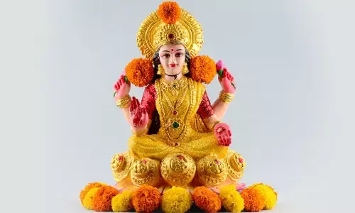 पीओपी की लक्ष्मी मूर्तियों पर लगे पाबंदी