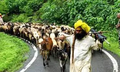धनगर समाज की योजनाओं को प्रभावी रूप से लागू करने मुख्यमंत्री की अध्यक्षता में समिति गठन को मंजूरी धनगर समाज की योजनाओं को प्रभावी रूप से लागू करने मुख्यमंत्री की अध्यक्षता में समिति गठन को मंजूरी