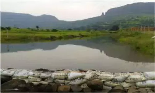 नागपुर जिले में बनाए जाएंगे 3 हजार वनराई बांध नागपुर जिले में बनाए जाएंगे 3 हजार वनराई बांध