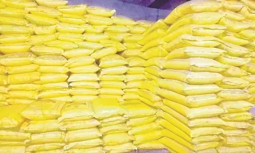 दिवाली से पहले नहीं होगी शासकीय धान की खरीदी!