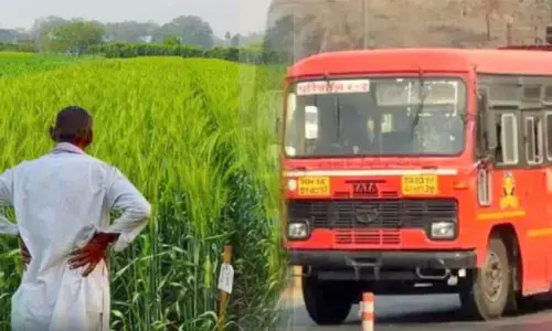 राज्य में धान खरीदी 31 जनवरी तक होगी, एसटी कर्मचारियों को मिलेगा 6,000 रुपए दिवाली बोनस