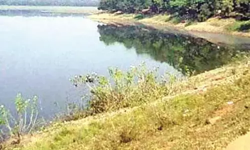 घर से लापता महिला का शिवनी बांध में मिला शव