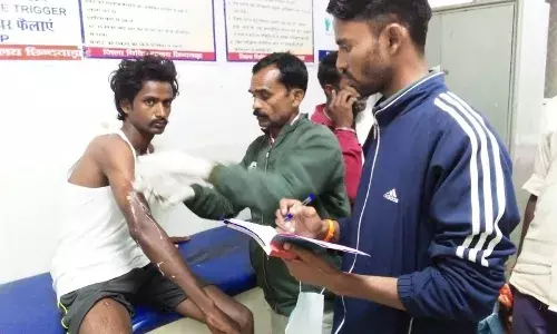 बाघ ने चरवाहे को दबोचा, खींचकर ले जाने लगा तो साथियों ने पत्थर बरसाकर खदेड़ा, बची जान