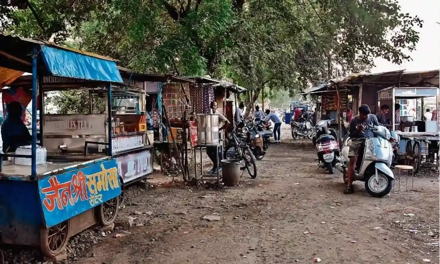 पाॅल्यूशन कंट्रोल करने सड़क किनारे वाटिका बनाईं, अब उन्हीं पर हो रहे कब्जे, अधिकारी मौन