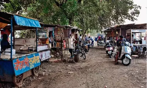 पाॅल्यूशन कंट्रोल करने सड़क किनारे वाटिका बनाईं, अब उन्हीं पर हो रहे कब्जे, अधिकारी मौन