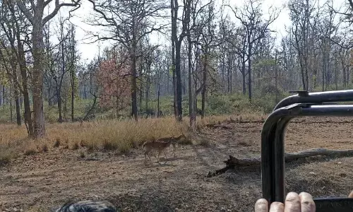 गाइड को 50 रुपए कम मिल रहा मेहनताना