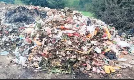 अधारताल तालाब को बना दिया कचरा डंपिंग स्टेशन अधारताल तालाब को बना दिया कचरा डंपिंग स्टेशन