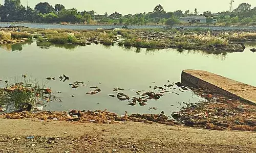 तीन सप्ताह बाद भी नहीं की गई सफाई, विसर्जित मूर्तियों से खतरे में पवनार धाम नदी का स्वास्थ्य तीन सप्ताह बाद भी नहीं की गई सफाई, विसर्जित मूर्तियों से खतरे में पवनार धाम नदी का स्वास्थ्य