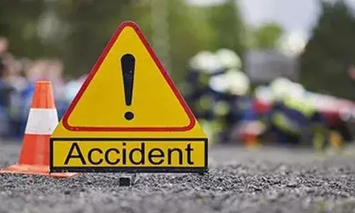 जंगली सुअर की टक्कर से नीचे गिरे दोपहिया सवार को वाहन ने रौंदा जंगली सुअर की टक्कर से नीचे गिरे दोपहिया सवार को वाहन ने रौंदा