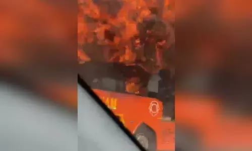 नोएडा एक्सप्रेस-वे पर चलती बस में लगी आग, सवारियों ने कूदकर बचाई जान