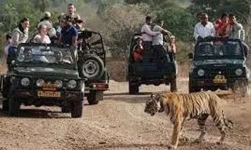 पेंच की तरह यहां भी गाइड का बनेगा ए,बी,सी ग्रेड