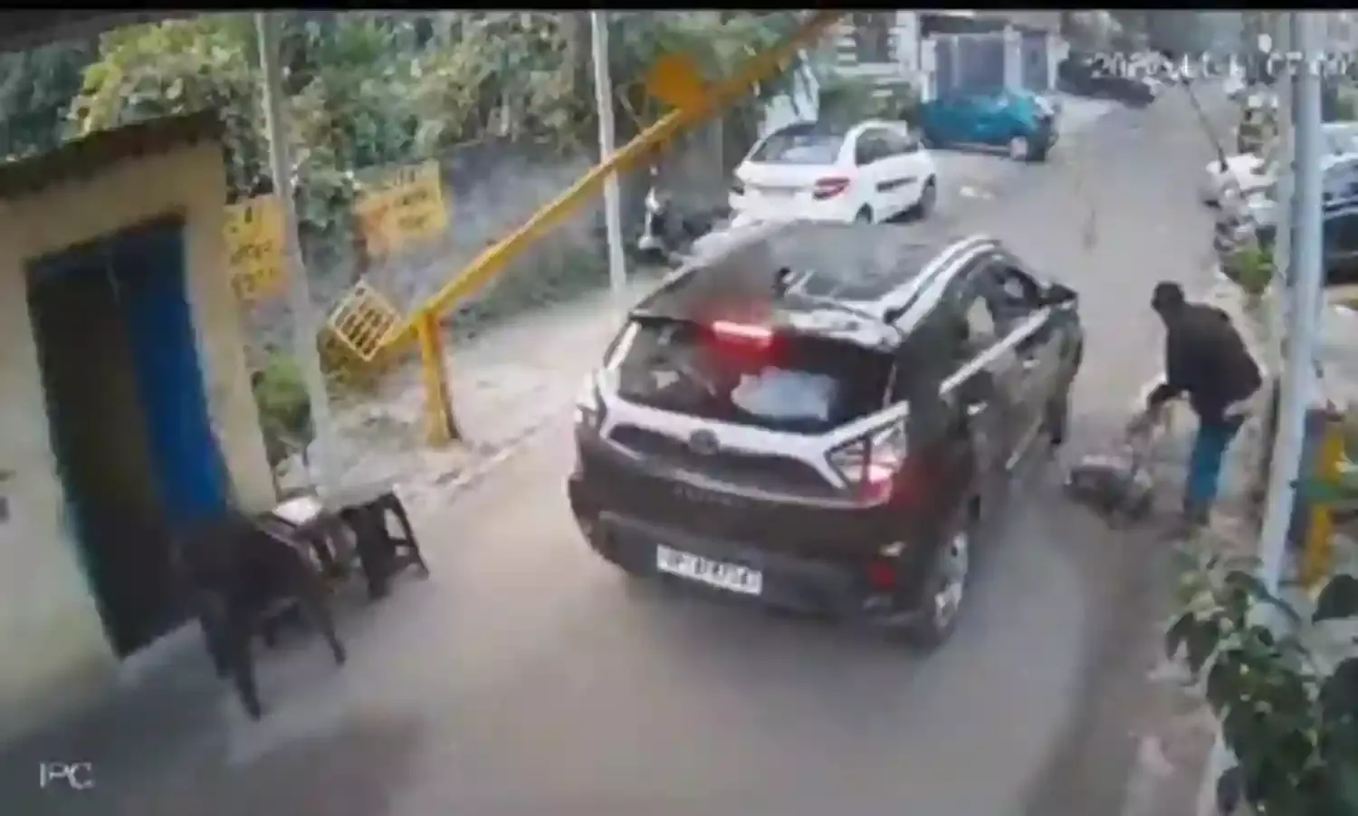 सोसाइटी से निकलते समय कार ने पालतू कुत्ते को कुचला, हुई मौत