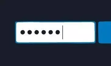 2023 में भारतीयों के बीच 123456 रहा सबसे आम पासवर्ड