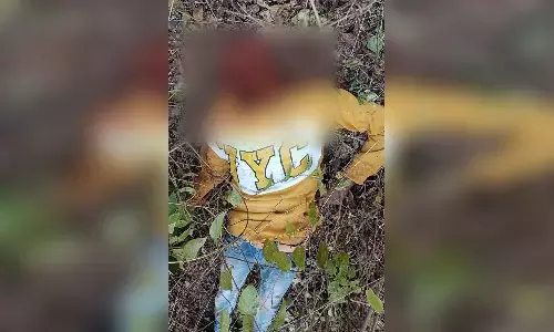धड़ से सिर अलग कर युवक की हत्या, झाडिय़ों में मिली लाश, अमरपाटन के ककरा गांव में सामने आई सनसनीखेज वारदात