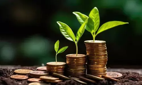 शीर्ष 500 शेयरों से परे म्यूचुअल फंड होल्डिंग्स 2018 के उच्चतम स्तर पर पहुंची