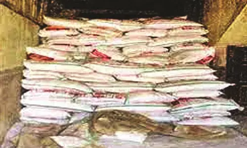 82 हजार क्विंटल बीज और 56 हजार मीट्रिक टन खाद का कृषि विभाग ने किया नियोजन