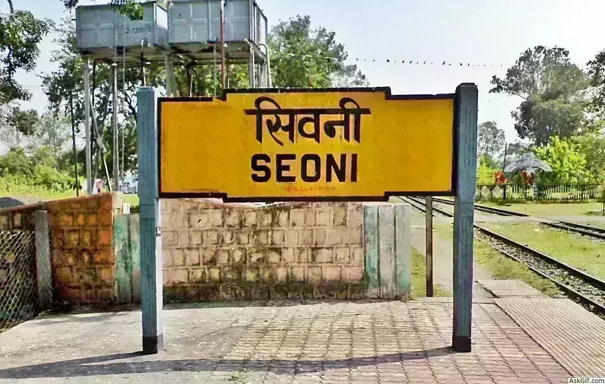 सिवनी पुलिस ने पकड़ी 5 लाख की देशी शराब बोली- पकड़ा गया आरोपी कांग्रेस से जुड़ा सिवनी पुलिस ने पकड़ी 5 लाख की देशी शराब बोली- पकड़ा गया आरोपी कांग्रेस से जुड़ा