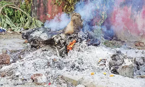 खुले में कचरा जलाने पर केवल एक कार्रवाई