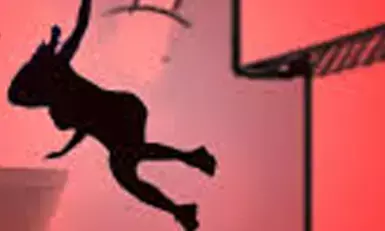 दिल्ली में महिला ने घर की छत से लगाई छलांग, मौत दिल्ली में महिला ने घर की छत से लगाई छलांग, मौत