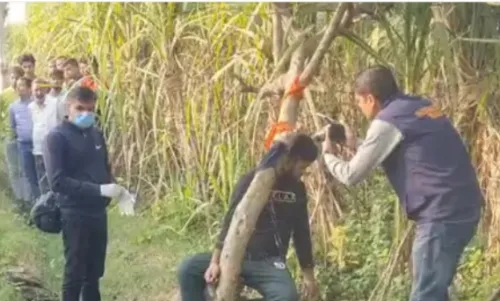 यूपी के मेरठ में पत्नी की गला दबाकर हत्या के बाद पति ने की आत्महत्या यूपी के मेरठ में पत्नी की गला दबाकर हत्या के बाद पति ने की आत्महत्या