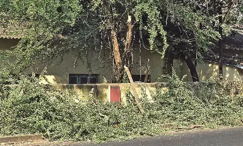 पेड़ों की छंटाई के अवशेष पड़े रास्ते पर, वाहनचालक परेशान