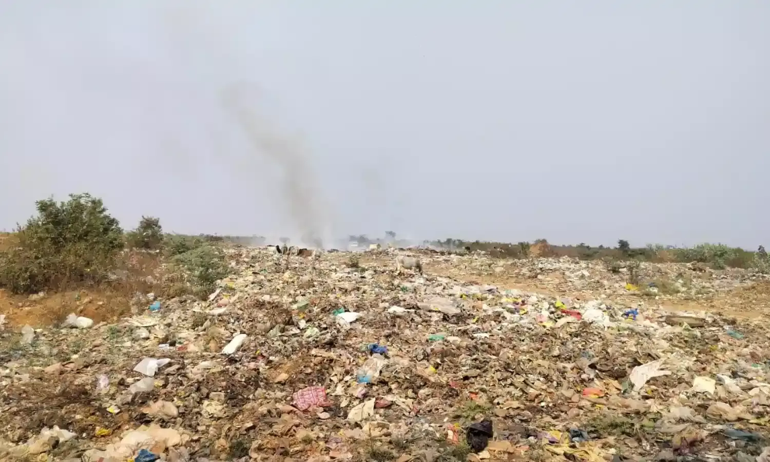 कचड़ा डंप के धुंऐ एवं बदबू से आदिवासी बस्ती के लोग परेशान