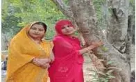 अजयगढ में महिलाओं ने इच्छा नवमीं पर आंवला वृक्ष की पूजा