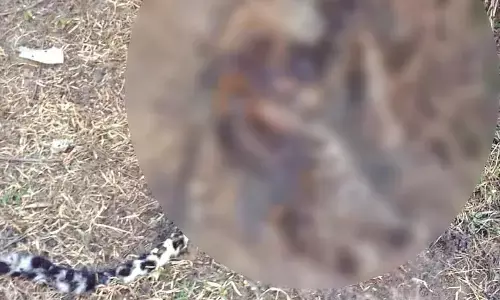 करंट लगा था, मामले में एक आरोपी गिरफ्तार 6 दिन का एफसीआर