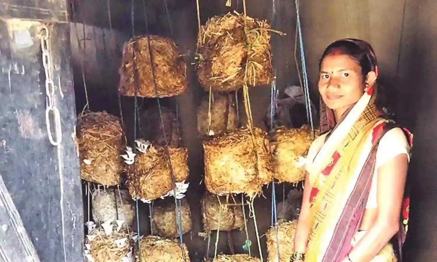 मशरूम के उत्पादन से सरिता ने तय किया स्वरोजगार से समृद्धि का सफर