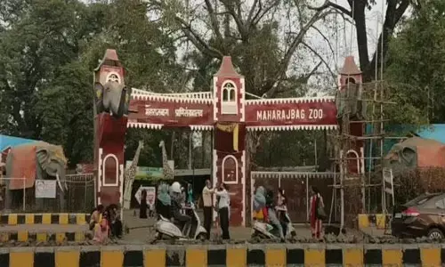 बाढ़ में 15 हिरणों की मौत मामले में सेंट्रल जू अथॉरिटी की टीम आ सकती है नागपुर