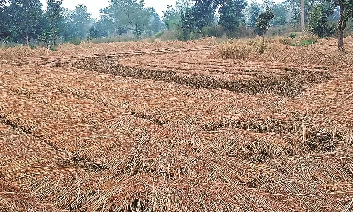 सुबह हल्की बूंदाबांदी दिनभर रहा बादलों का डेरा