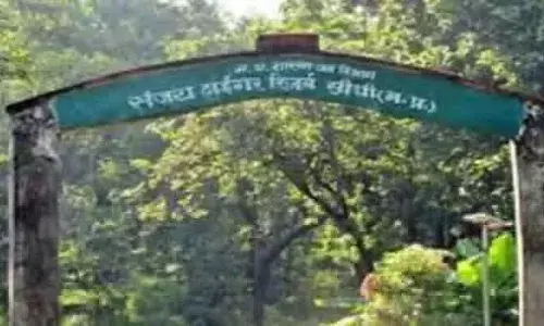 संजय गांधी टाइगर रिजर्व के अफसरों ने भी रोया ‘असहयोग’ का रोना