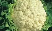 बिहार में फूलगोभी चुराने के आरोप में व्यक्ति की हत्या