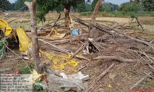 अब मोहगांव में जंगली हाथियों ने मचाया उत्पात अब मोहगांव में जंगली हाथियों ने मचाया उत्पात