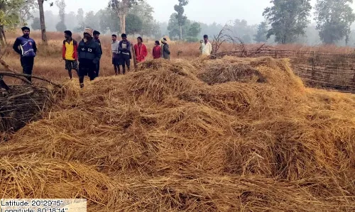 ड्रोन कैमरे से की जा रही जंगली हाथियों की निगहबानी